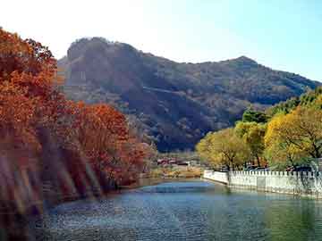 澳门二四六天天彩图库，牛娃闯都市